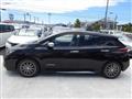 2021 Nissan Leaf