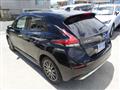 2021 Nissan Leaf