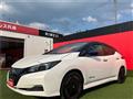2022 Nissan Leaf