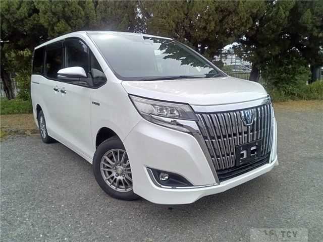 2019 Toyota Toyota Others