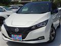 2021 Nissan Leaf