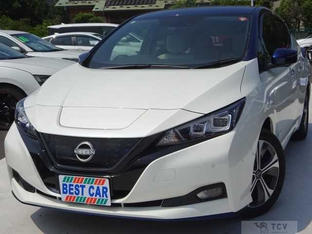 2021 Nissan Leaf