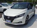 2021 Nissan Leaf