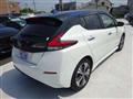 2021 Nissan Leaf