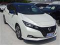 2021 Nissan Leaf