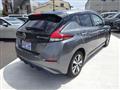 2019 Nissan Leaf