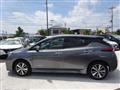 2019 Nissan Leaf