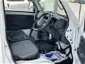 2019 Suzuki Carry Truck