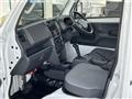 2019 Suzuki Carry Truck
