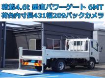 2015 Isuzu Elf Truck