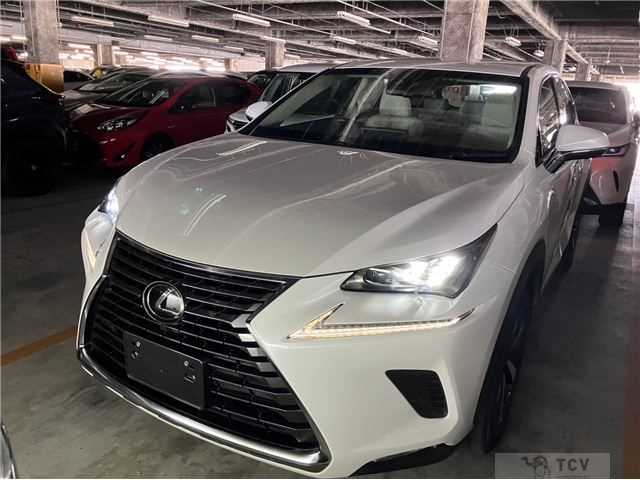 2018 Lexus Other