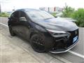 2025 Lexus Other