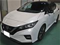 2018 Nissan Leaf