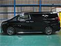 2019 Toyota Alphard G
