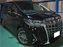 2019 Toyota Alphard G