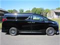 2019 Toyota Alphard G