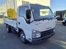 2019 Isuzu Elf Truck