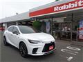 2025 Lexus RX