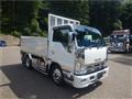 2011 Isuzu Elf Truck