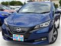 2021 Nissan Leaf
