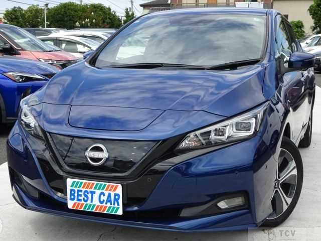 2021 Nissan Leaf