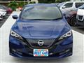 2021 Nissan Leaf