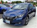 2021 Nissan Leaf