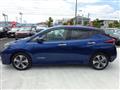 2021 Nissan Leaf