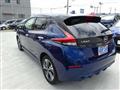2021 Nissan Leaf