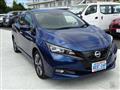 2021 Nissan Leaf