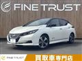 2021 Nissan Leaf