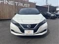 2021 Nissan Leaf