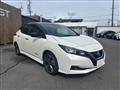 2021 Nissan Leaf