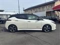2021 Nissan Leaf