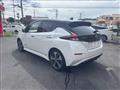 2021 Nissan Leaf