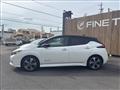 2021 Nissan Leaf