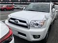 2009 Toyota Hilux Surf