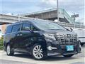 2016 Toyota Alphard G