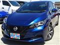 2022 Nissan Leaf