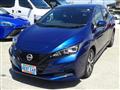 2022 Nissan Leaf