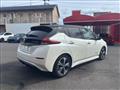 2021 Nissan Leaf