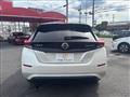 2021 Nissan Leaf