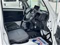 2021 Suzuki Carry Truck
