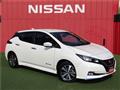 2020 Nissan Leaf