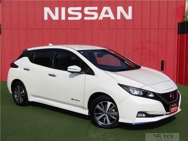 2020 Nissan Leaf