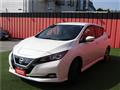 2020 Nissan Leaf