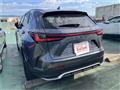 2023 Lexus Other