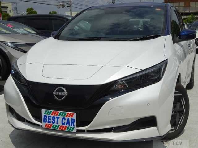 2024 Nissan Leaf