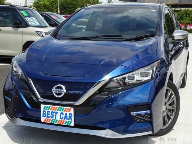2020 Nissan Leaf
