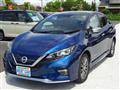 2020 Nissan Leaf